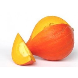 Tykev Hokkaido Orange " 4 SEMENA