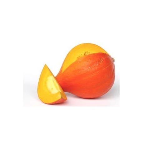Tykev Hokkaido Orange " 4 SEMENA