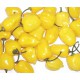 Chilli Yellow Habanero " 10 SEMEN